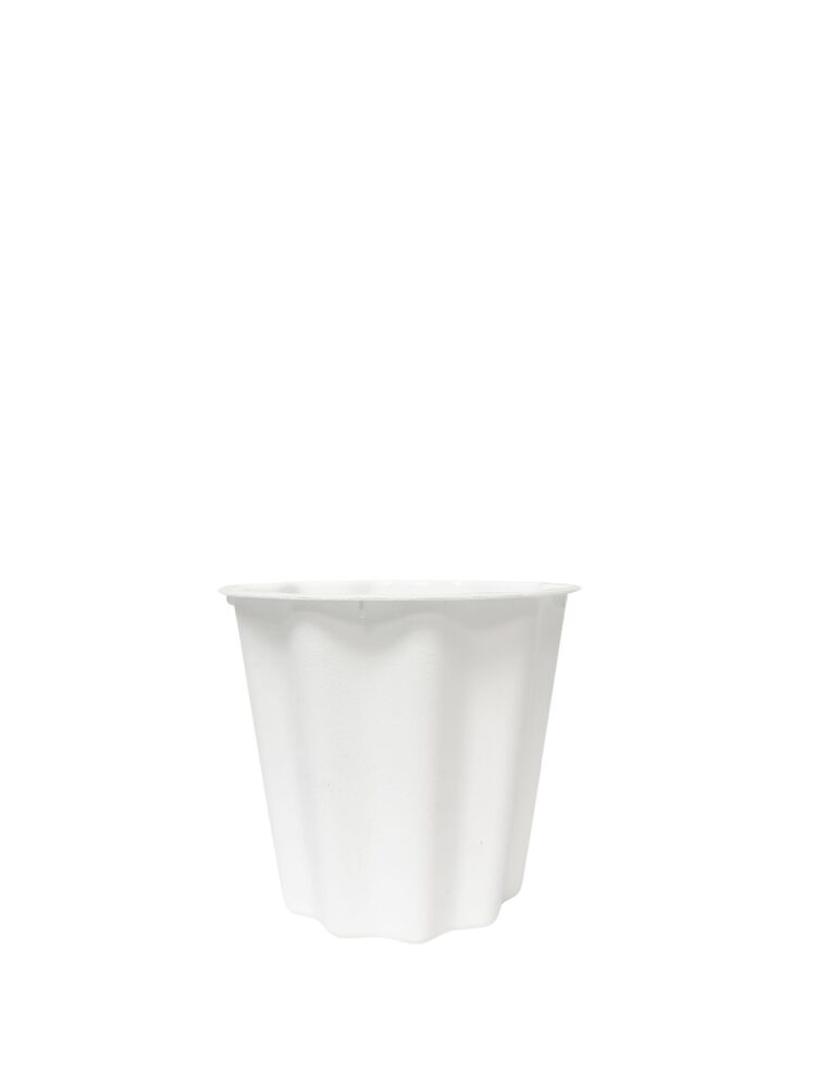 5.5 Inch White Bucket Plastic Pot 6"D x 5.5"H -- 96 Per Case