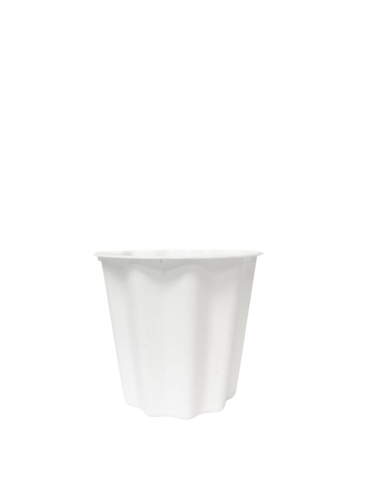 6 Inch White Bucket Plastic Pot 7"D x 6"H -- 72 Per Case